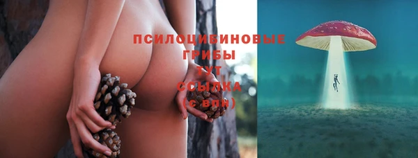 дживик Абаза