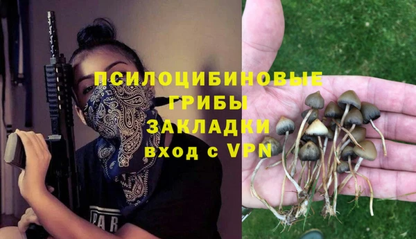 дживик Абаза
