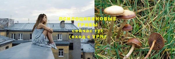 дживик Абдулино