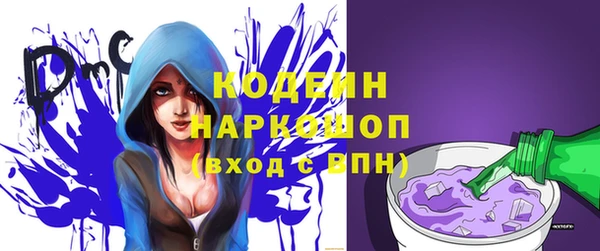 дживик Абаза
