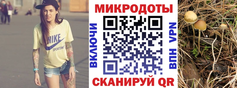 как найти закладки  Фурманов  Галлюциногенные грибы Psilocybine cubensis 